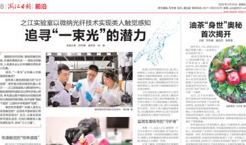 【浙江日报】追寻“一束光”的潜力：之江实验室以微纳光纤技术实现类人触觉感知